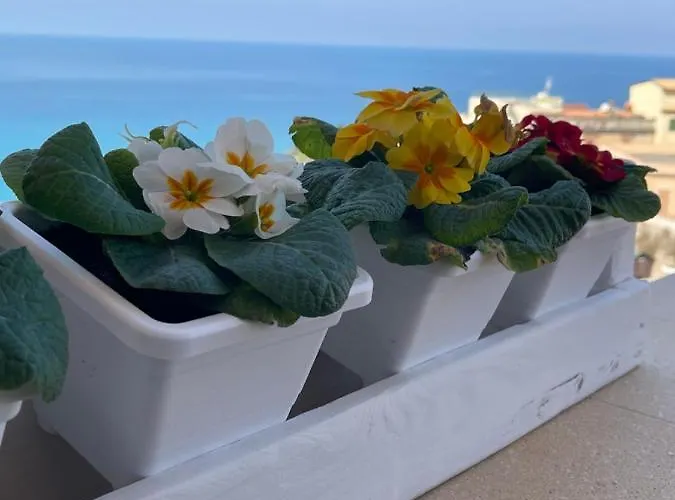 Sapore Di Sale 公寓