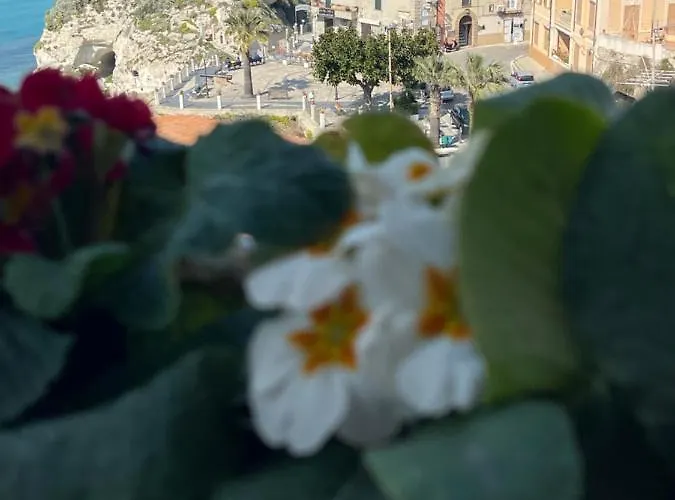 Sapore Di Sale 公寓 特罗佩阿